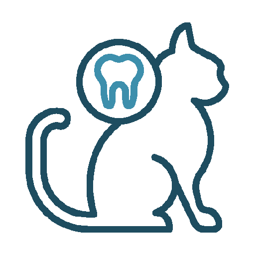Cat dental care Icon