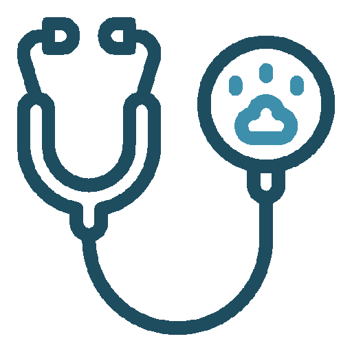 Check Up Icon