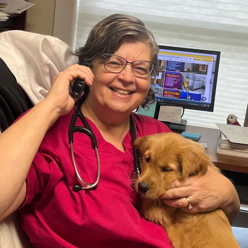 A person wearing a stethoscope and pink scrubs holds a golden retriever puppy while talking on a phone.