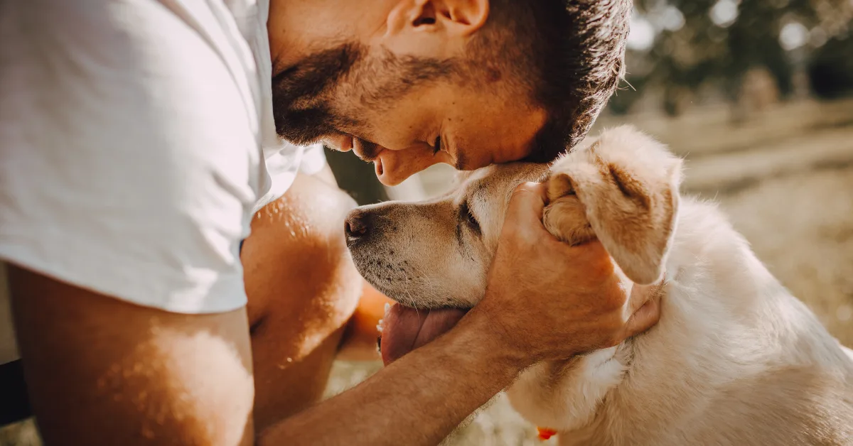 Man embracing golden retriever A person wearing a white t-shirt is embracing a light-colored dog in an outdoor setting.