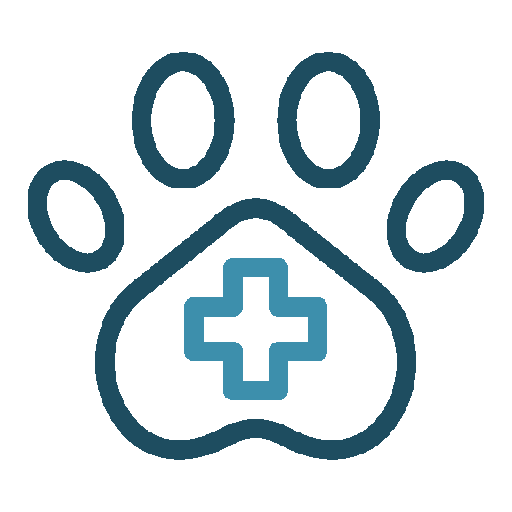 Paw health Icon